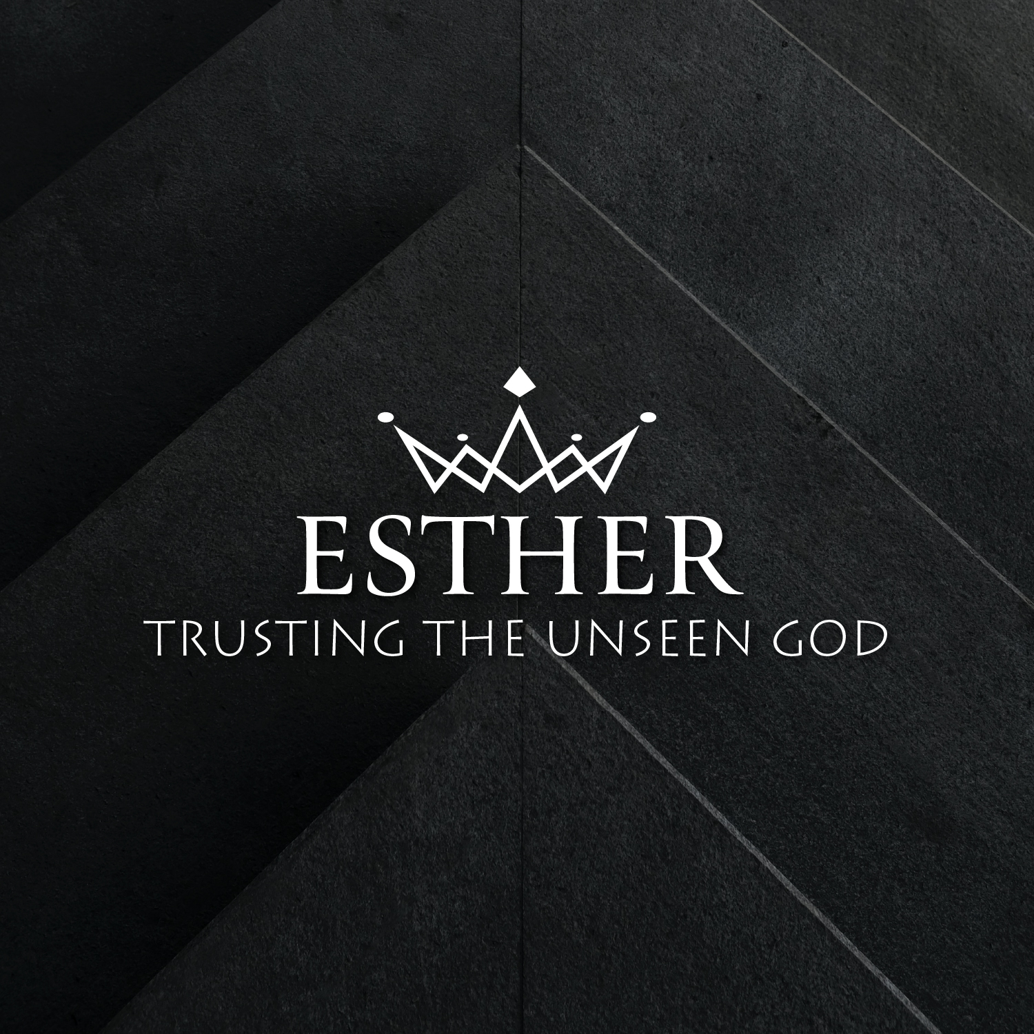 Esther 2:1-23 – A Dark Pagaent (1-8-23)